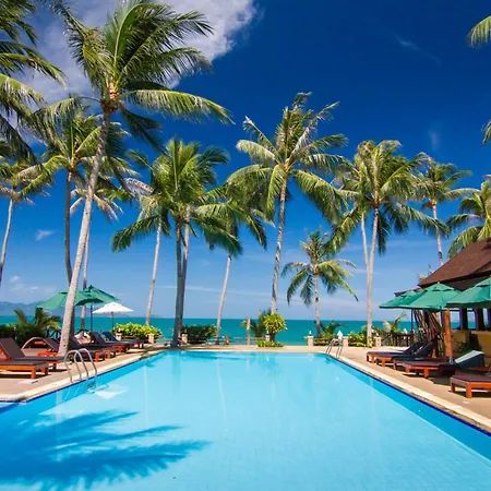 Coco Palm Beach Resort - Sha Extra Plus-2